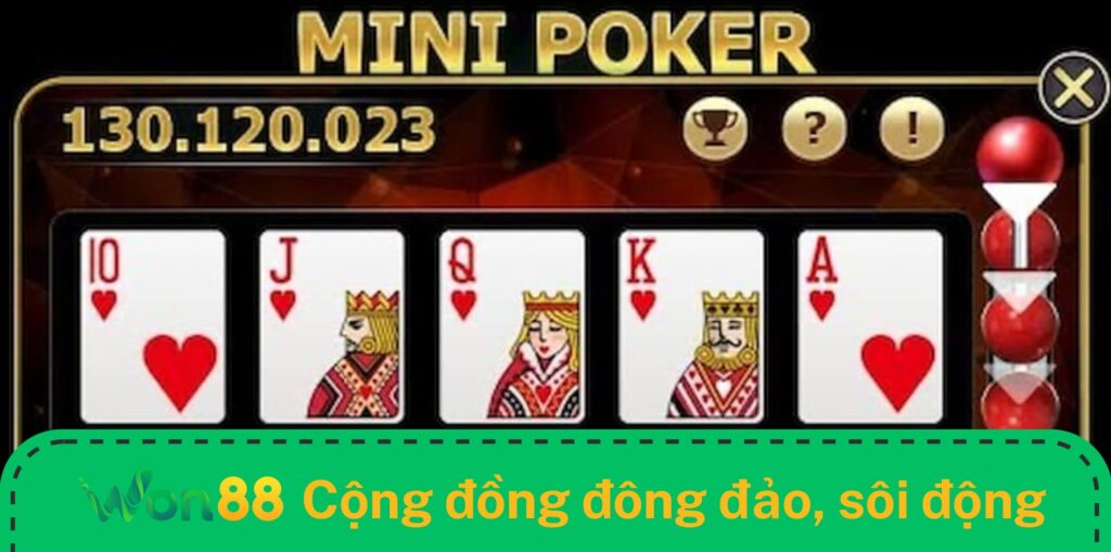 Cộng đồng người chơi đông đảo và sôi động