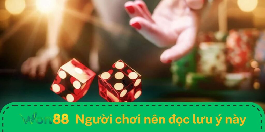 Người chơi nên đọc 1 số lưu ý nhỏ sau khi chơi tài xỉu Won88